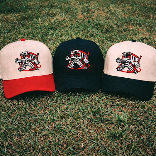 “Bus In Net” Carolina Inspired Snapback Otto Hat